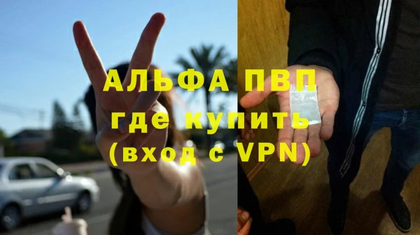 apvp Алзамай