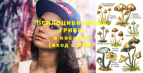 apvp Алзамай