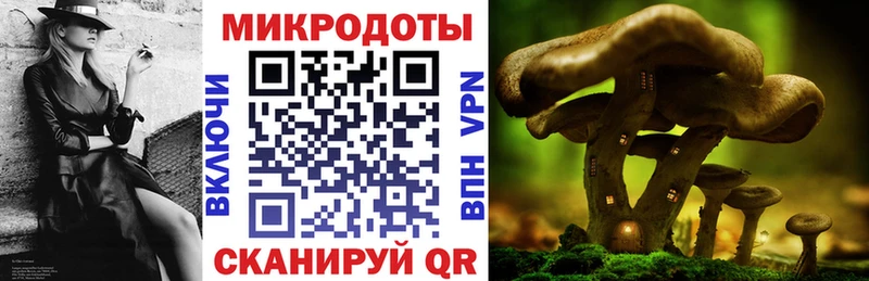 кракен зеркало  закладки  Тобольск  Галлюциногенные грибы ЛСД 